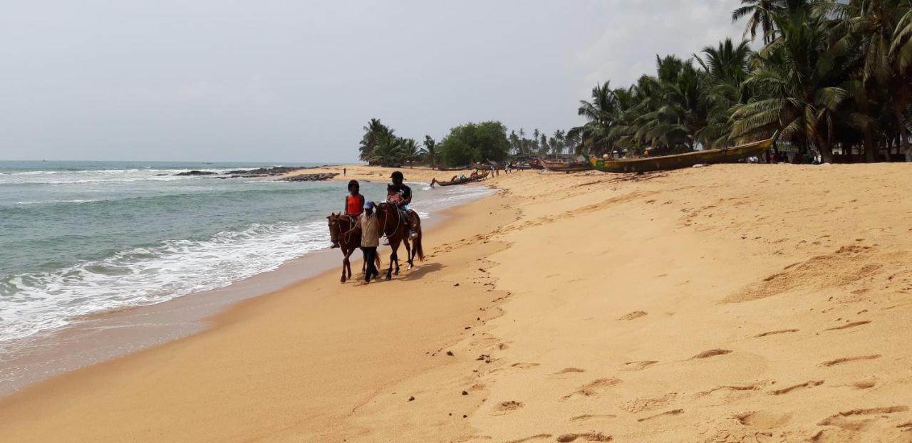 ホテル Afiki Elmina エクステリア 写真